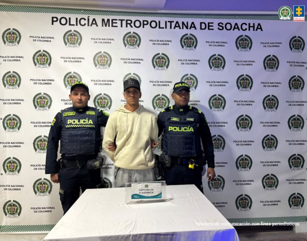 Cárcel para hombre que atacó a su pareja y mató a sus mascotas 2