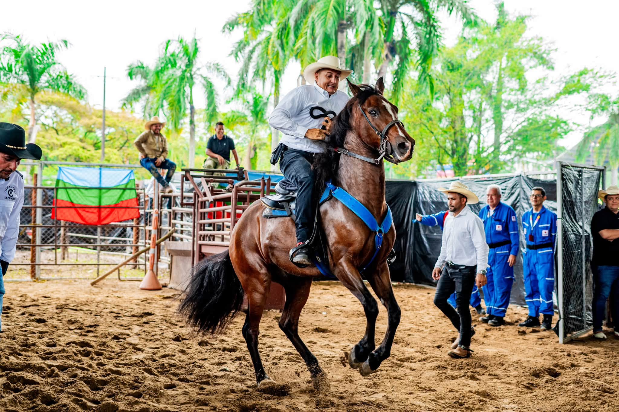 Festival Llanero cerró con ventas por $2.200 millones en la feria ganadera