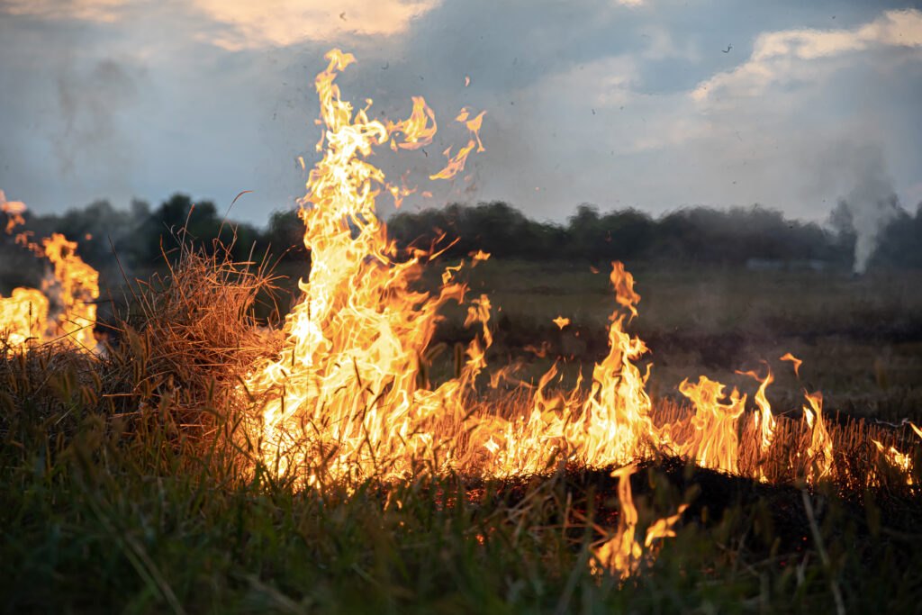 Así puede actuar un campesino ante un incendio forestal