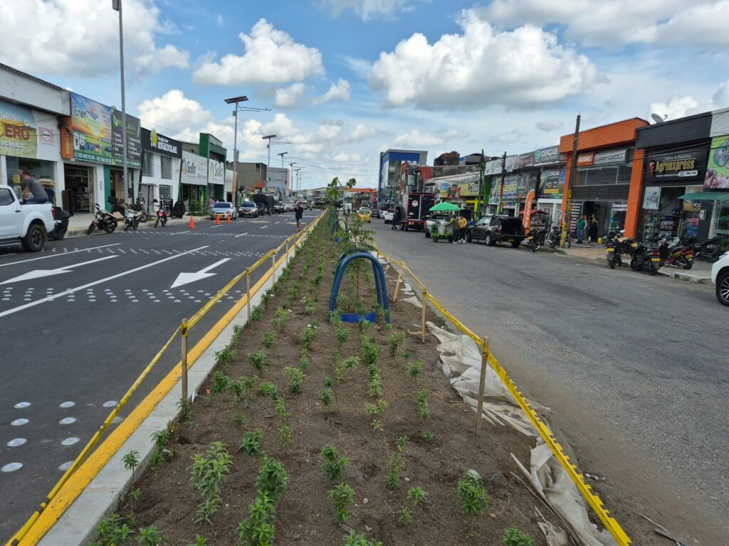 ¿Un corredor más verde? Avenida Catama tendrá más de 6.200 plantas ornamentales